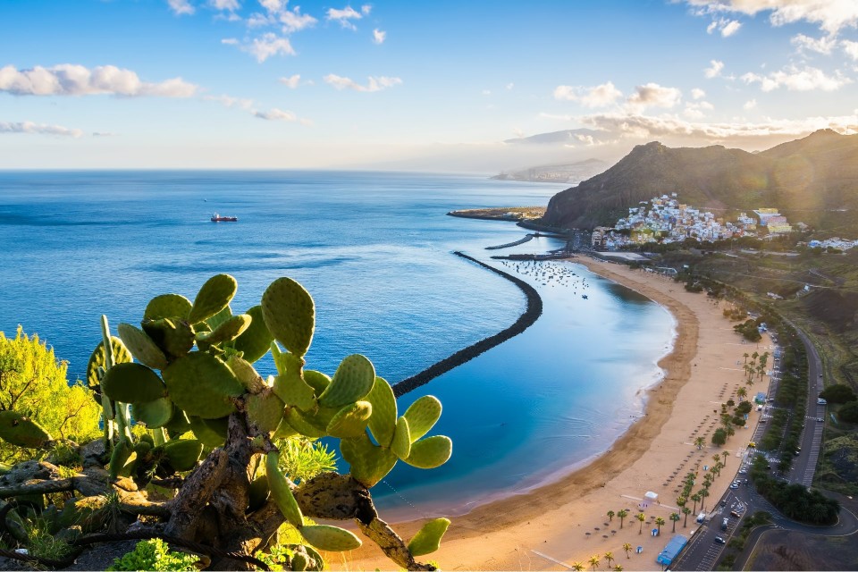 Features of yachting in Tenerife